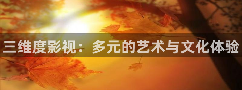 窝窝在线观看免费高清电视剧大全最：三维度影视：多元的艺术与文化体验