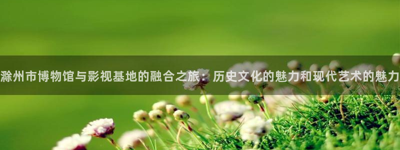窝窝网免费电视剧