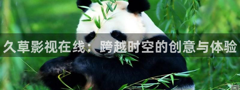 窝窝影院高清电视剧免费
