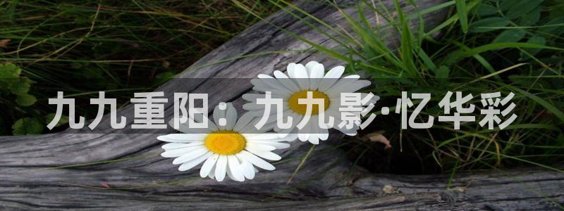 窝窝电影在线