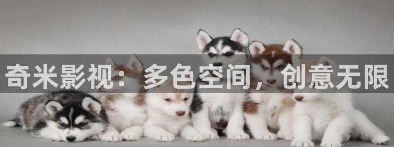 妹妹窝窝影院在线观看免费版电视剧：奇米影视：多色空间，创意无限