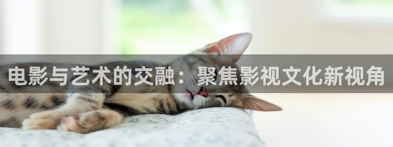 窝窝影院最新电视剧：电影与艺术的交融：聚焦影视文化新视角