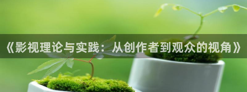 久久窝窝影院：《影视理论与实践：从创作者到观众的视角》