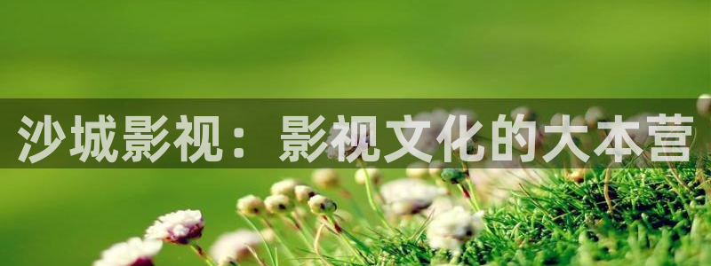 窝窝影院下载