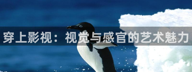 窝窝影院免费入口：穿上影视：视觉与感官的艺术魅力