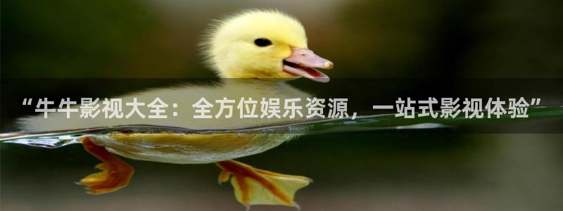 窝窝影视免费观看高清电视剧：“牛牛影视大全：全方位娱乐资源，一站式影视体验”