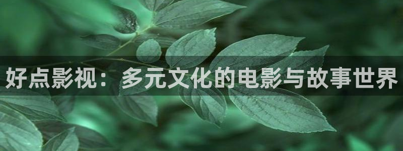 窝窝影视在线观看电视剧免费版高清：好点影视：多元文化的电影与故事世界